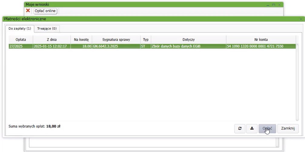 Widok okna płatności elektronicznych Widok okna płatności elektronicznych