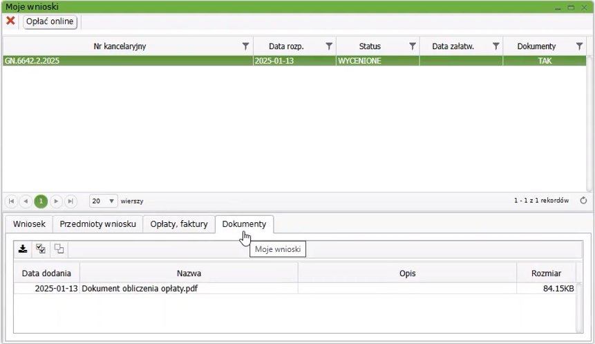 Widok okna: Moje wnioski Widok okna: Moje wnioski