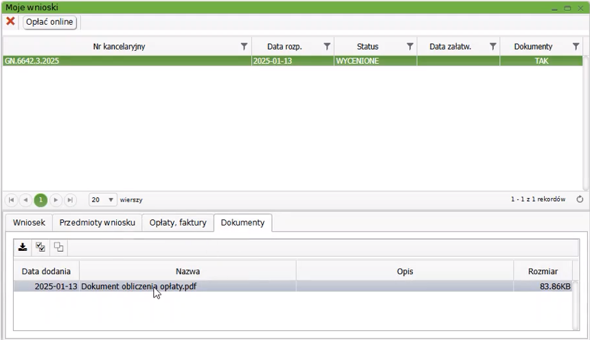 Widok okna: Moje wnioski Widok okna: Moje wnioski