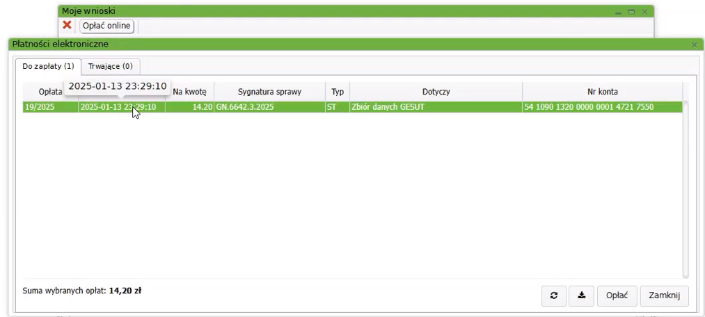 Widok okna płatności elektronicznych Widok okna płatności elektronicznych