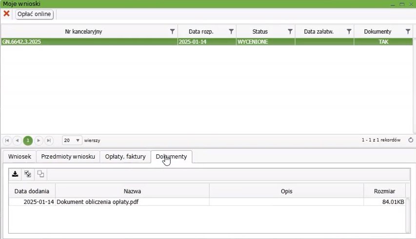 Widok okna: Moje wnioski Widok okna: Moje wnioski