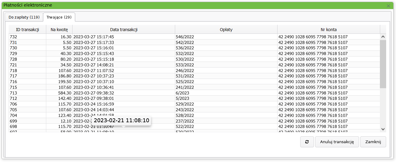 Widok okna trwających płatności elektronicznych Widok okna trwających płatności elektronicznych
