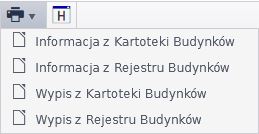 Widok okna z opcjami wydruku raportów po najechaniu kursorem na ikonę drukarki