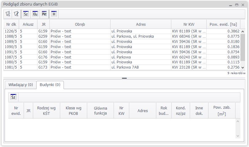 Widok okna podglądu zbioru danych EGiB